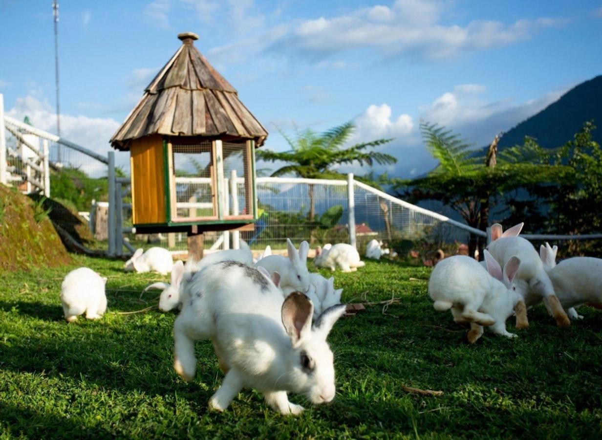 O Chau Homestay Lào Cai Kültér fotó